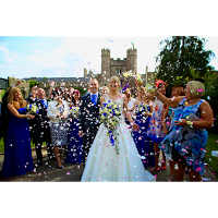 Artistic Motion Wedding Videography 1086356 Image 1
